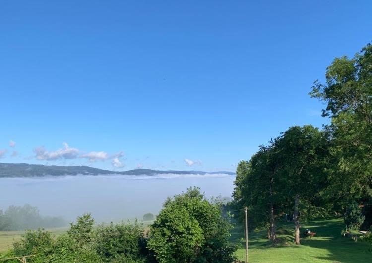 Burggasthof Weissenstein Regen Ngoại thất bức ảnh